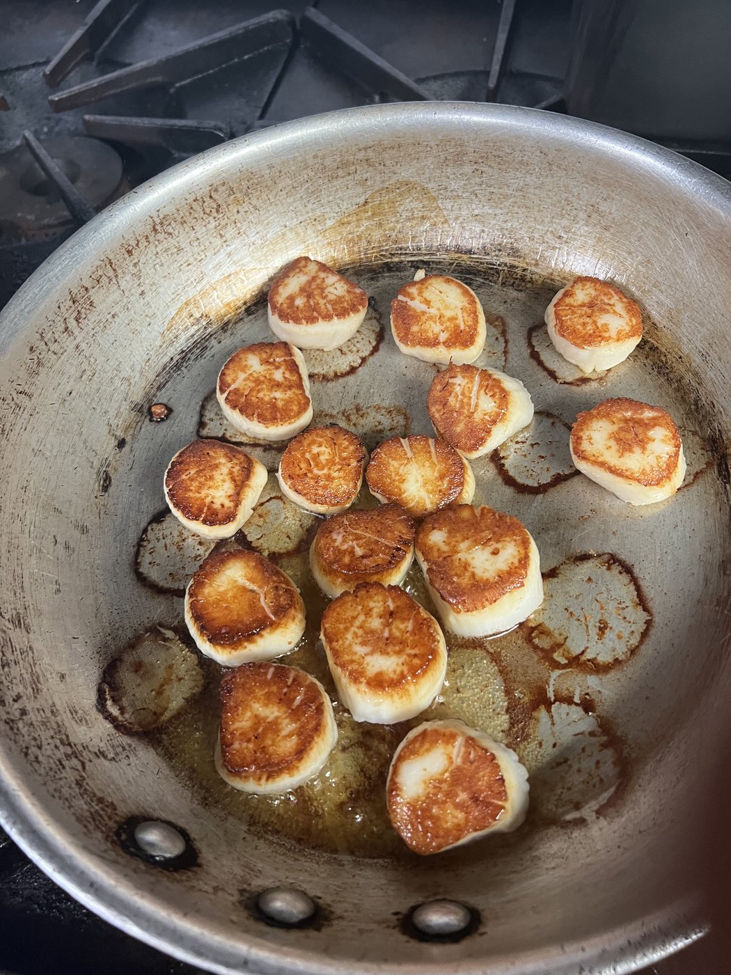 Searing scallops