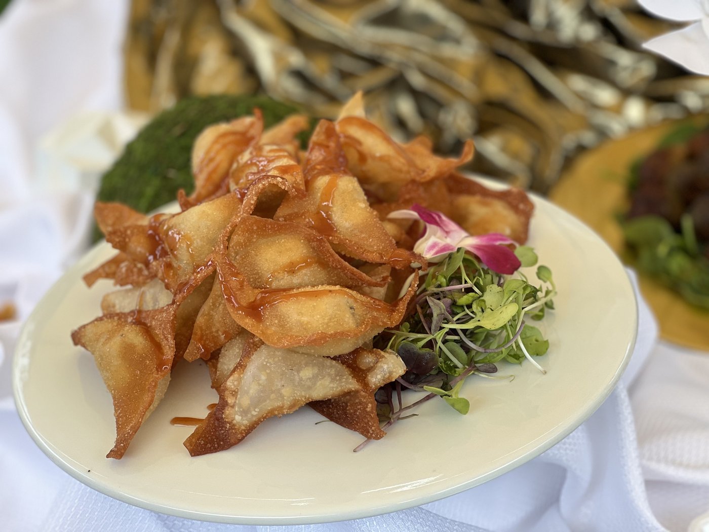 Crispy wonton appetizer, plated